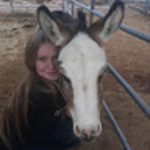 Meet your Posher, Morgan